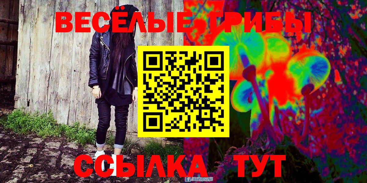 Галлюциногенные грибы GOLDEN TEACHER  Вход с VPN  Псилоцибиновые грибы прущие грибы  Мыски 